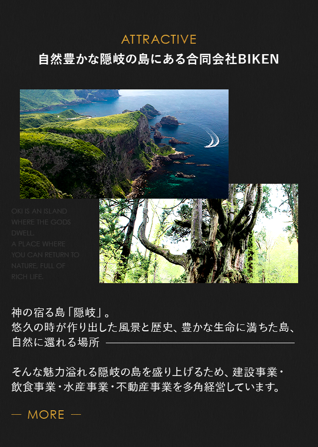 sp_body_bg